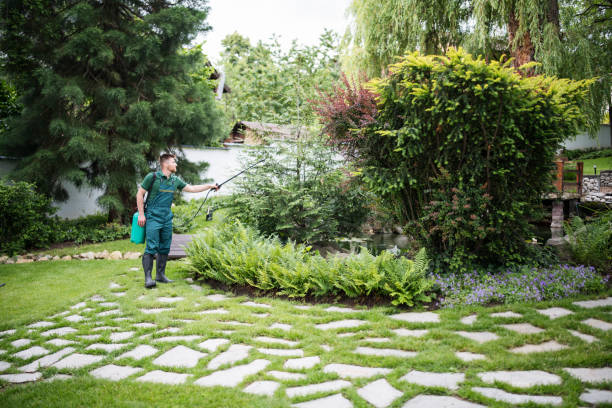 Best Best Pest Control Companies  in North Star, DE