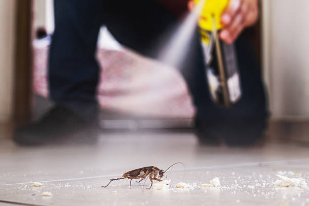 Trusted North Star, DE Pest Control Experts